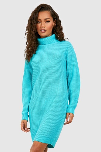 Basic Roll Neck Jumper Dress