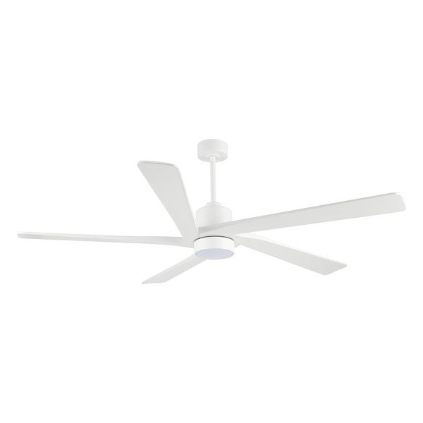 WINGBO 72 Ceiling Fan with Lights