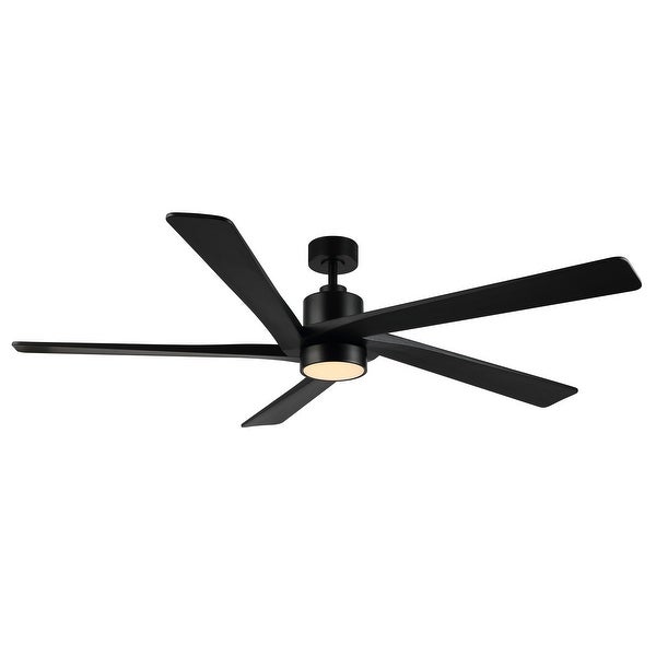 WINGBO 72 Ceiling Fan with Lights