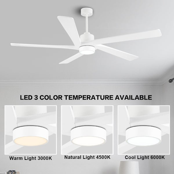 WINGBO 72 Ceiling Fan with Lights