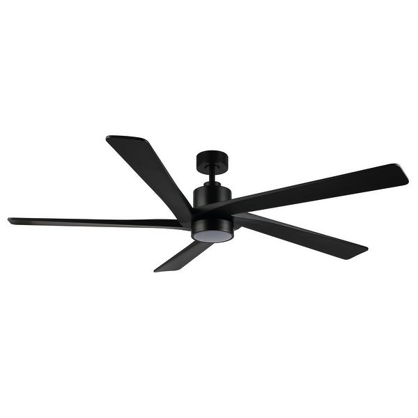 WINGBO 72 Ceiling Fan with Lights