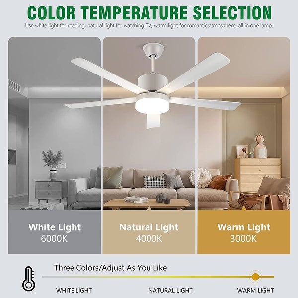 Crystal Ceiling Fan Fandelier with Lights - Modern Outdoor Ceiling Fan