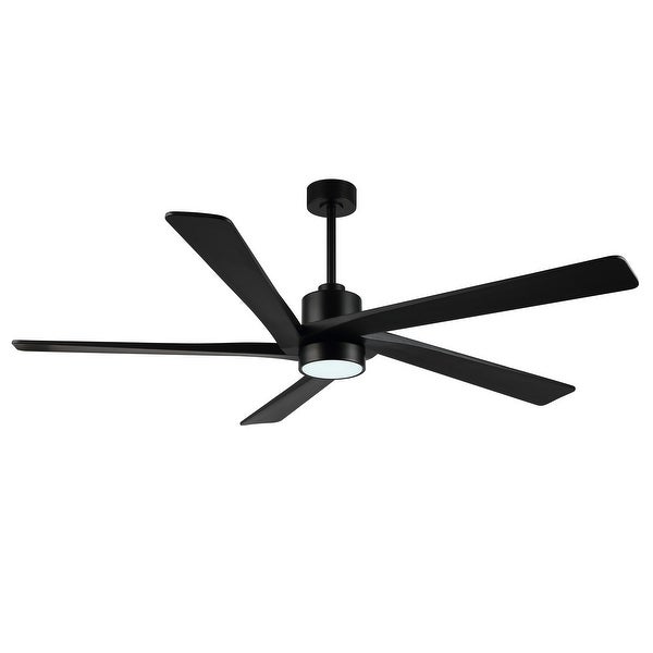 WINGBO 72 Ceiling Fan with Lights