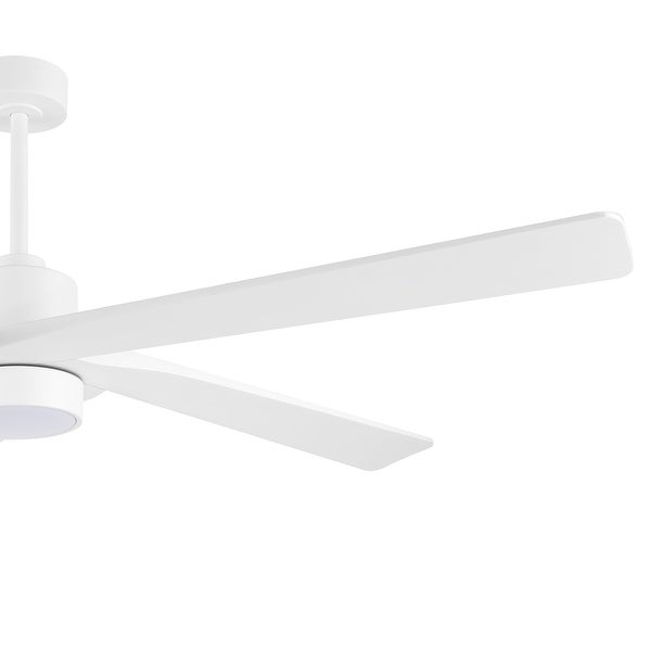 WINGBO 72 Ceiling Fan with Lights