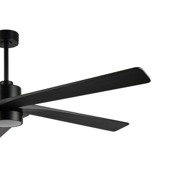 WINGBO 72 Ceiling Fan with Lights