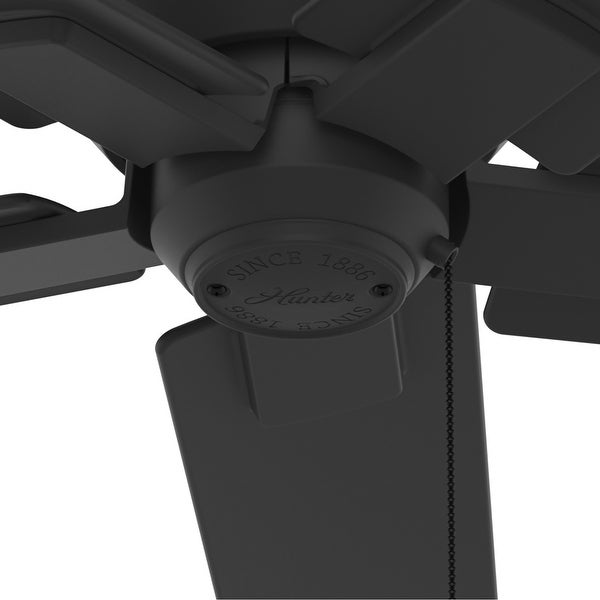 Hunter 44 Terrace Cove Outdoor Low Profile Ceiling Fan and Pull Chain