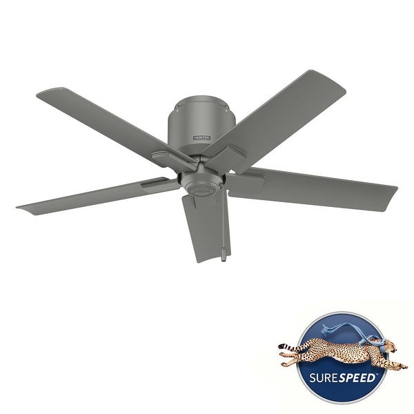 Hunter 44 Terrace Cove Outdoor Low Profile Ceiling Fan and Pull Chain