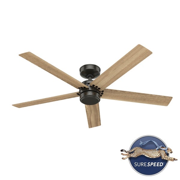 Hunter 52 Burton Outdoor Ceiling Fan and Wall Control