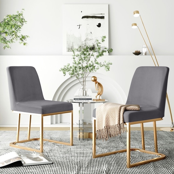 Modern Minimalist Velvet Dining Chairs Accent Chairs Set of 2 - Overst