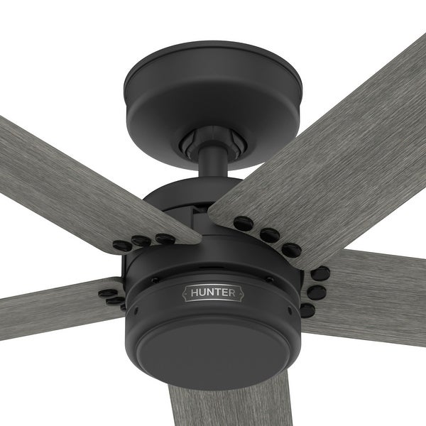 Hunter 52 Burton Outdoor Ceiling Fan and Wall Control