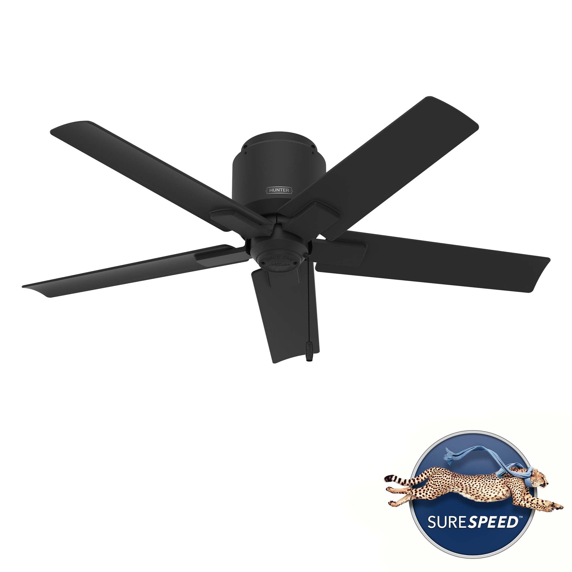 Hunter 44 Terrace Cove Outdoor Low Profile Ceiling Fan and Pull Chain