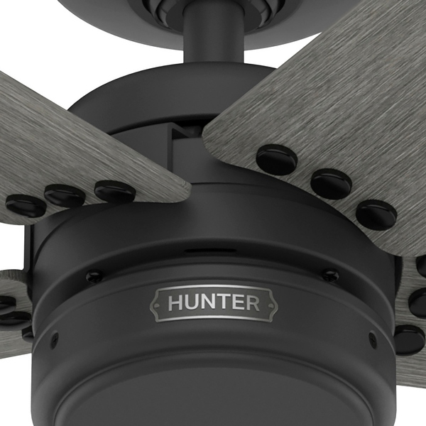 Hunter 52 Burton Outdoor Ceiling Fan and Wall Control