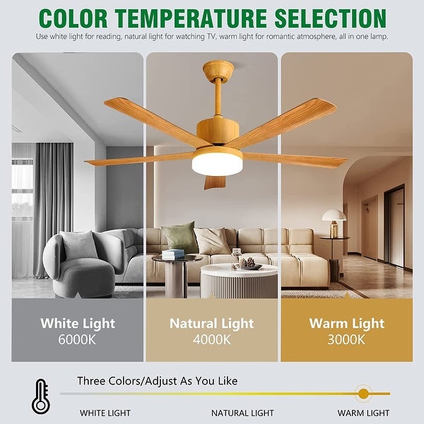 Crystal Ceiling Fan Fandelier with Lights - Modern Outdoor Ceiling Fan