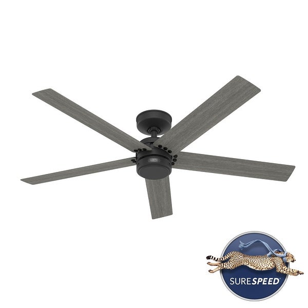 Hunter 52 Burton Outdoor Ceiling Fan and Wall Control