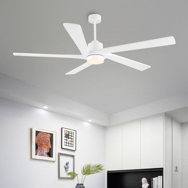 WINGBO 72 Ceiling Fan with Lights