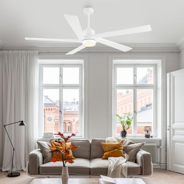 WINGBO 72 Ceiling Fan with Lights