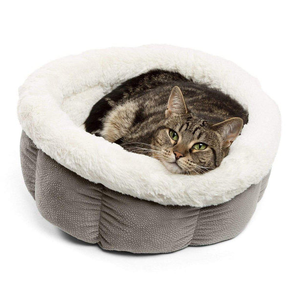 Cozy Ilan Cuddle Cup