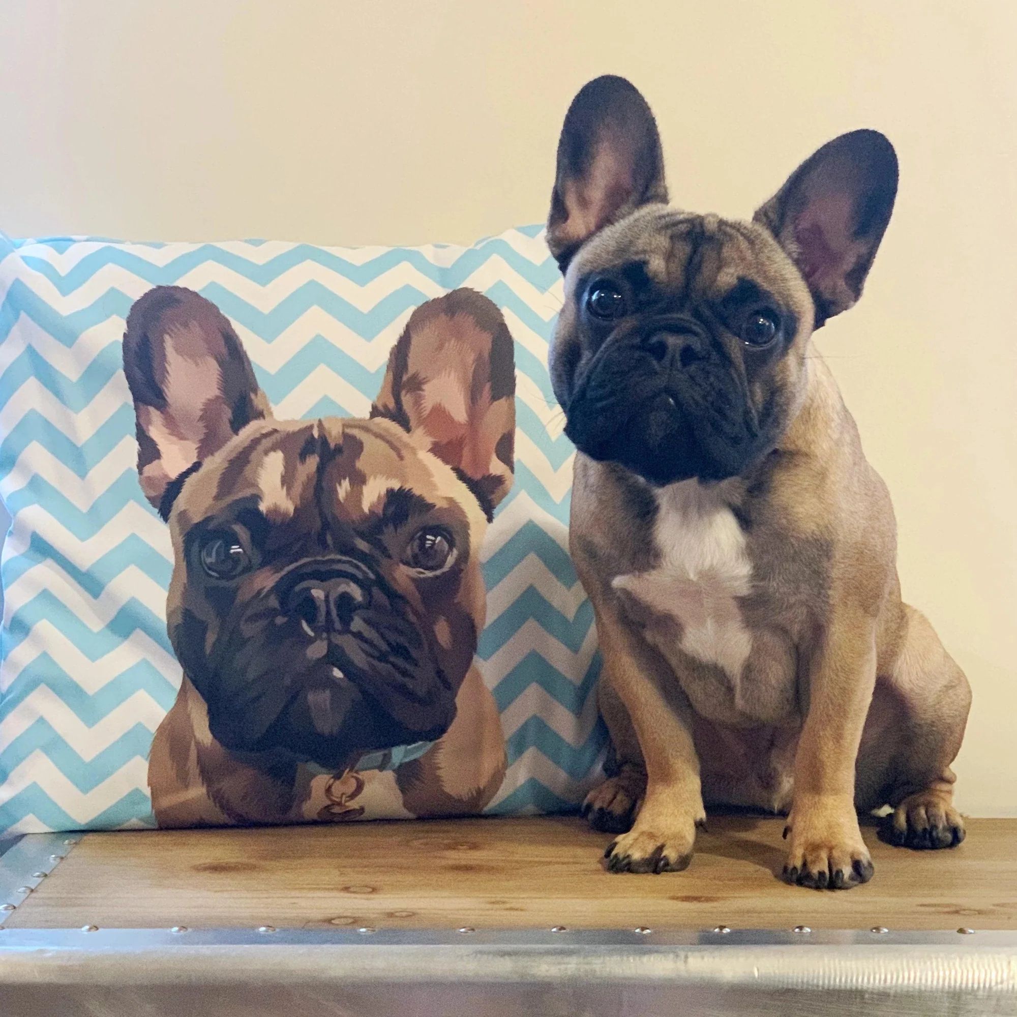 Custom Pet Couch Pillow with Cover
