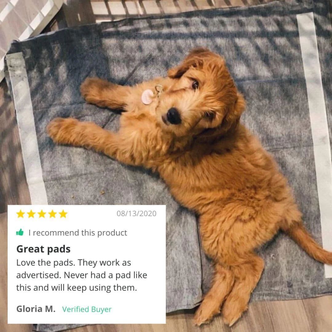 Magic Pee Pads
