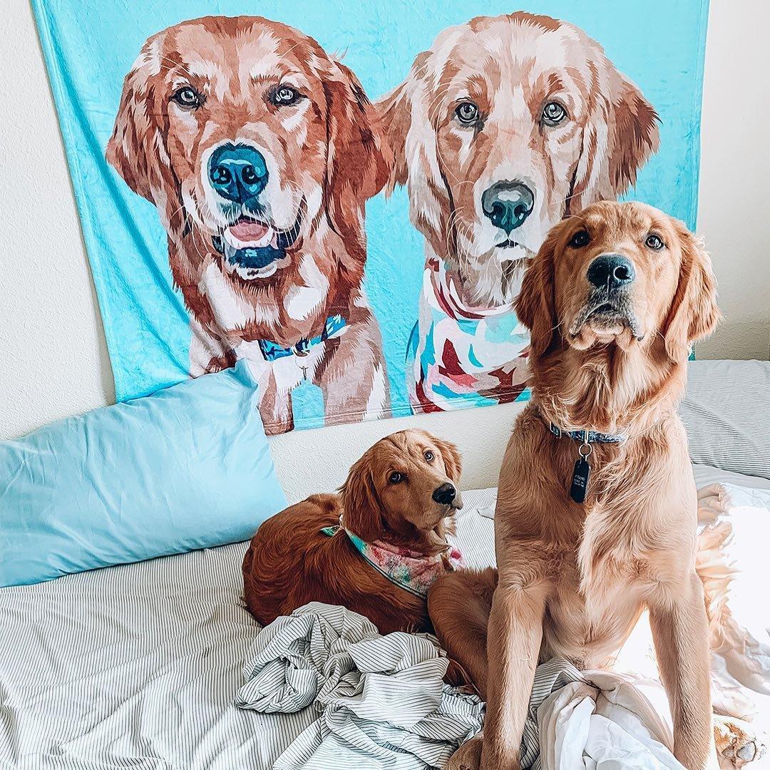 Personalized Pet Blanket – The Perfect Gift for Pet Lovers
