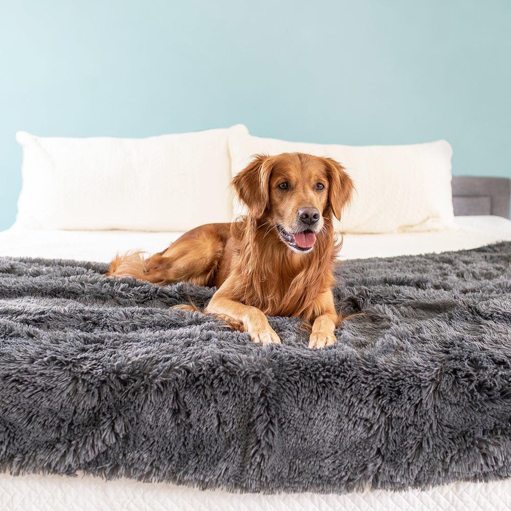 PawProof – Pet's Favorite Ultra Comfy Waterproof Furniture Fur Protector