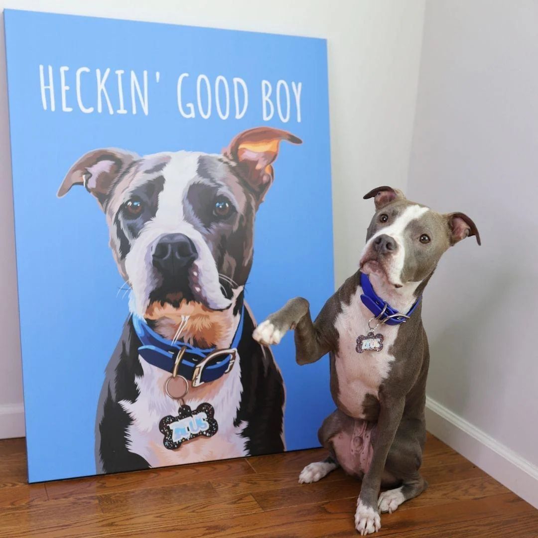Personalized Pet Blanket – The Perfect Gift for Pet Lovers