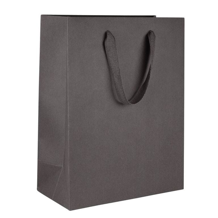Ribbon Handle Gift Bag, Manhattan Collection – Debbie Size