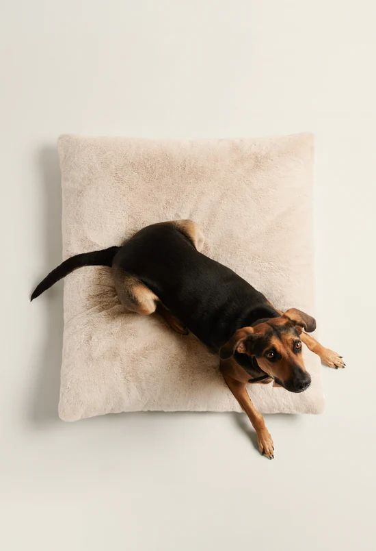 Floof Pillow Pet Bed